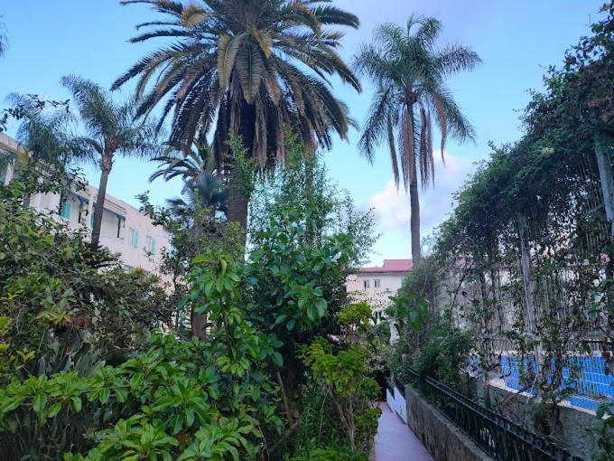 Hotel El Djazair El Mouradia Экстерьер фото